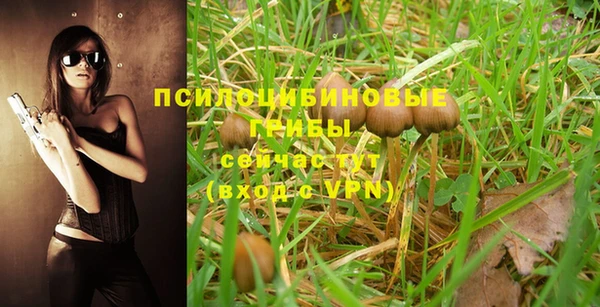 дмт Пересвет