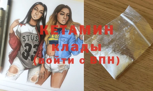 дмт Пересвет