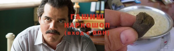 дмт Пересвет