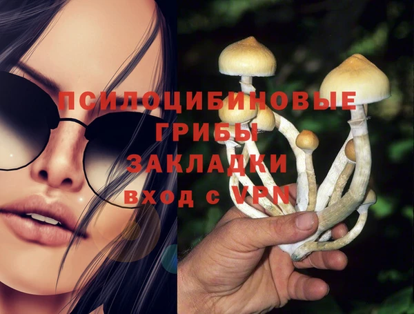 эйфоретик Абинск