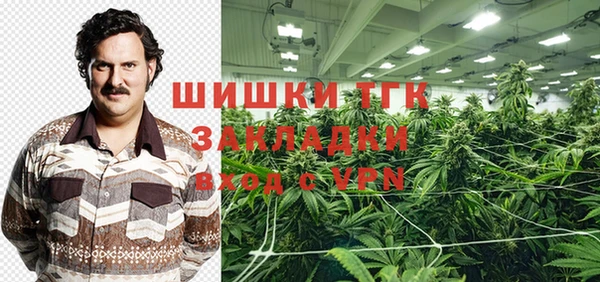 дмт Пересвет