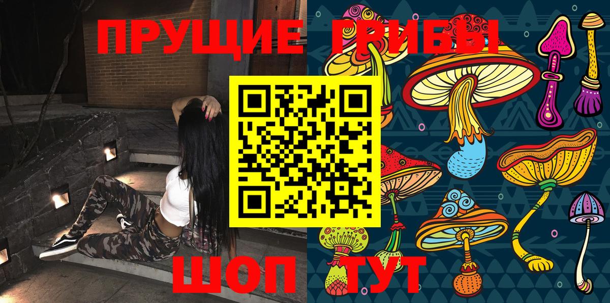 купить наркотики цена  Псилоцибиновые грибы Psilocybine cubensis  Вход с VPN  Прокопьевск 